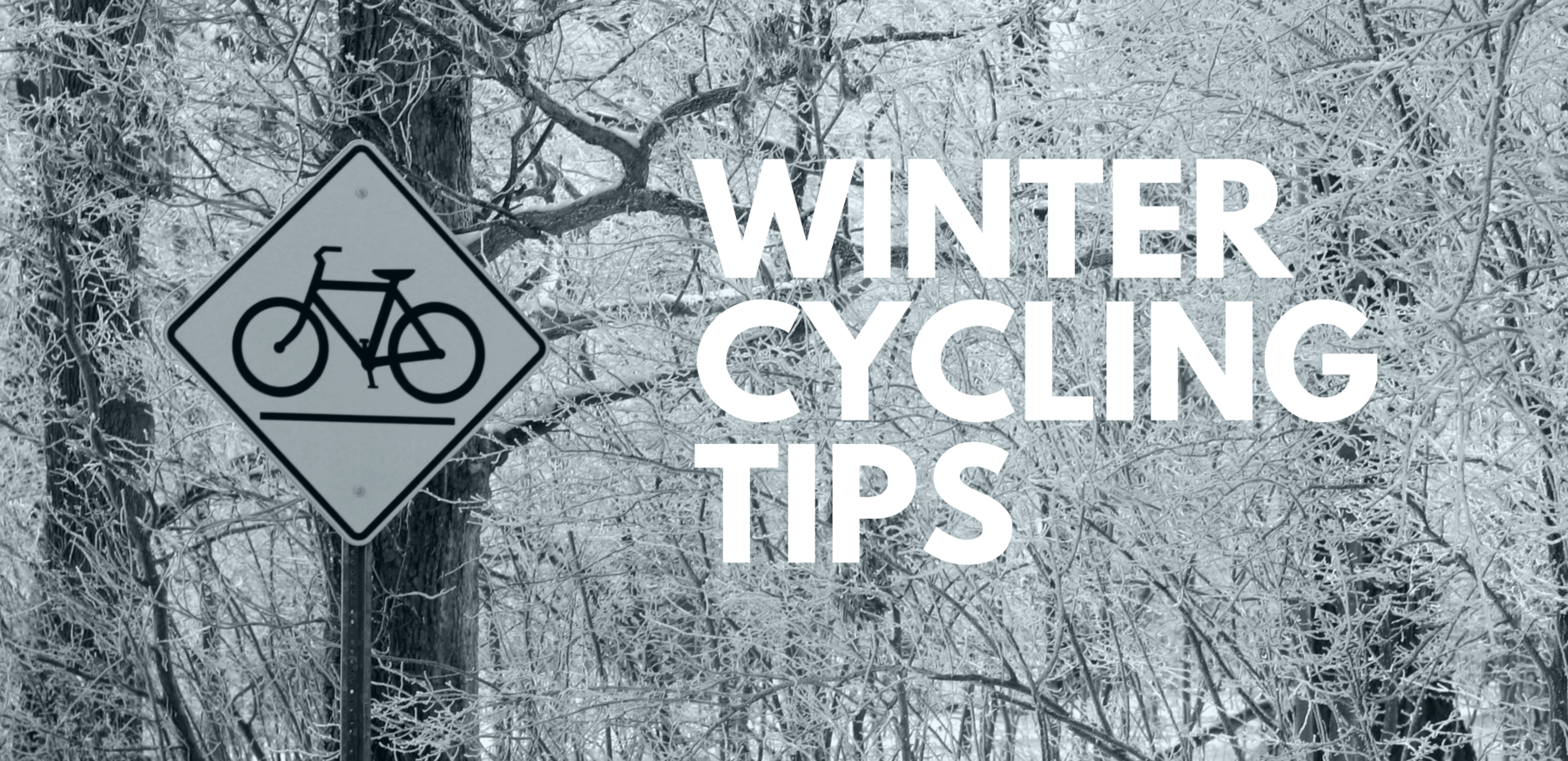 "Winter Cycling Tips" over snowy trees with cycling street sign